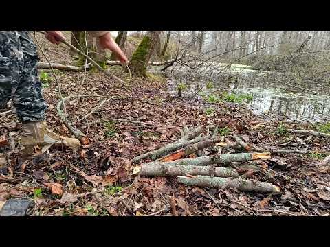 Solo camping by the swamp Individual tent Veal steak LIVING