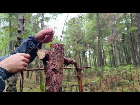 Individual camp and shelter building sea fish overnight camp