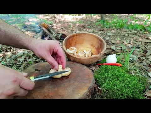 Rare forest mushroom Food with forest mushrooms Mushrooms