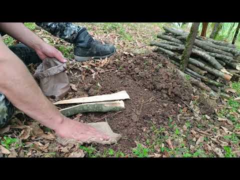 Building a Cozy Shelter Under a Fallen Tree Scary Night