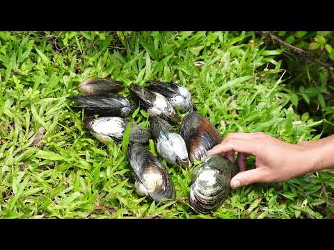 Using Hydroelectric Power to Light My Home Deep in the