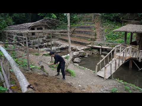 Life off the grid Renovating the garden and growing