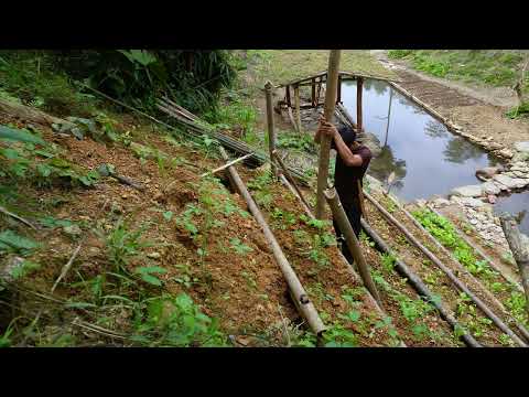 Off Grid Life in the Deep Forest Finishing Wood Workshop