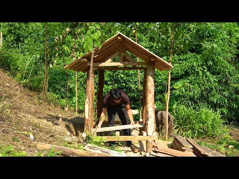 Building a Chicken Coop Catching a Porcupine with a Trap