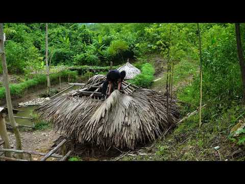 Building a Horse Stable at My Forest Farm Night Crab