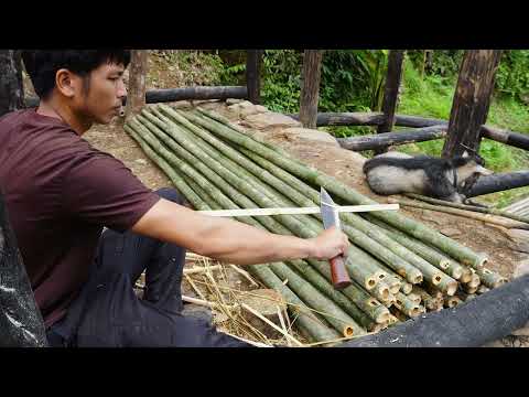 Thatching the Roof with Palm Leaves Building a Bushcraft
