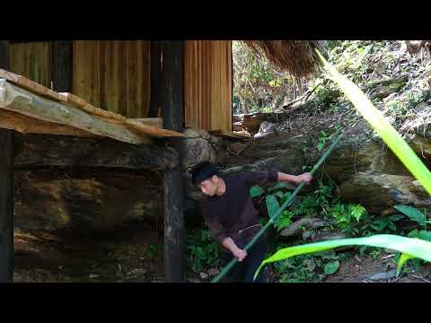 Building a Nail Free Wooden Staircase Carpentry Skills