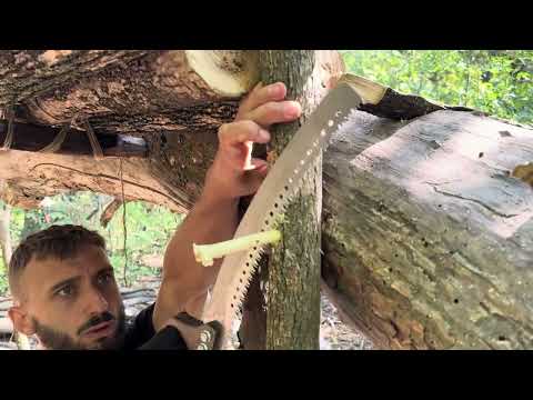 Building a Warm and Comfortable Shelter on Fallen Tree Tree