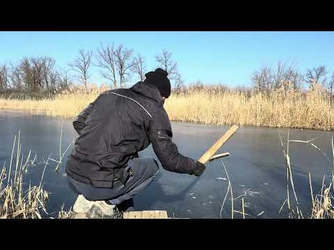 Building a Warm and Cozy Survival Dugout under a Bent Tree
