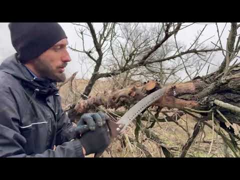 Building a Secret Shelter Under a Huge Fallen Tree for