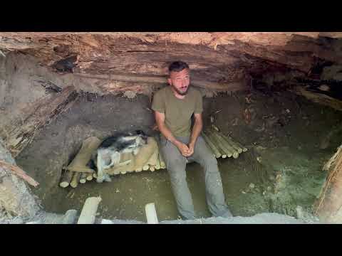 Building a Secret Survival Shelter Under a Giant Tree