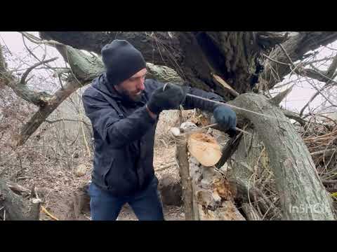 Building a secret shelter near a huge fallen tree Warm oven