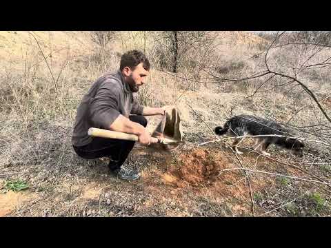 Building a Clay Shelter Under an Old Tree for Survival Warm