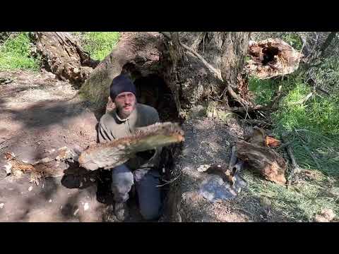 Building a Secret Dugout Inside a Hollow Tree I Building