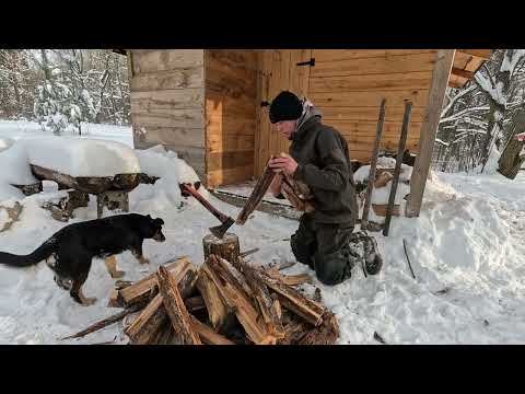 winter bushcraft in severe frost with a dog night in the