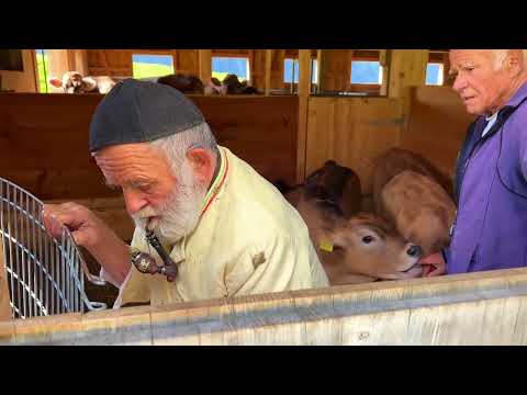 How do people live in remote Swiss villages far from