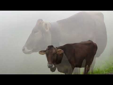 Life in Swiss Alpine Villages Far from Civilization