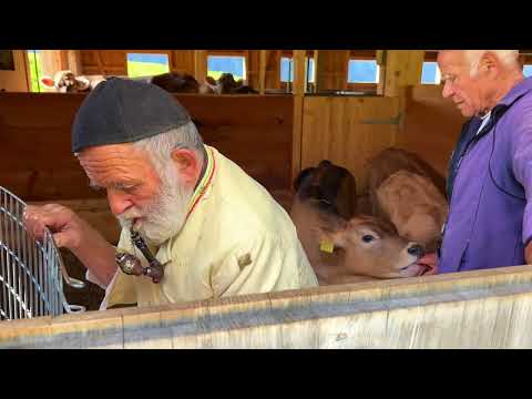 I found a Swiss family living in seclusion in the Alps The