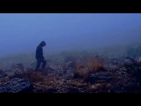 Alone in a Deadly Blizzard My Dog and I Survived in a Stone