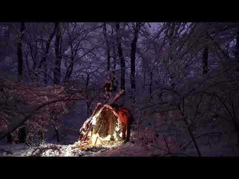 Surviving 61 C Inside a Wooden Tree Shelter Extreme Winter