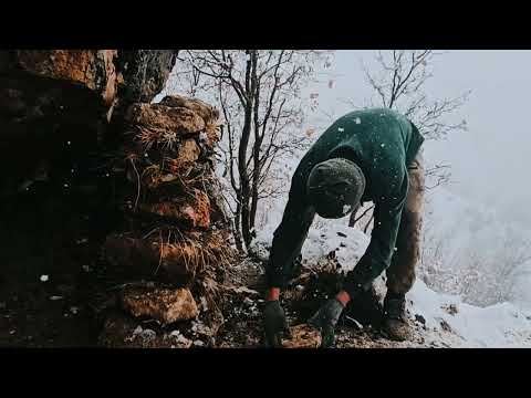 Surviving on a snow covered mountain Looking for a rocky