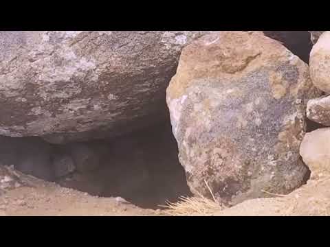 Surviving Alone on a Frozen Mountain The Stone House on the