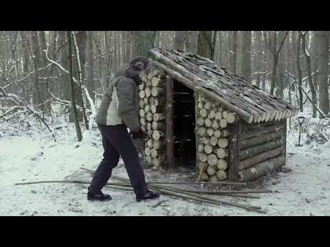 Surviving Winter A Girl and Her Dog Build a Wooden Shelter