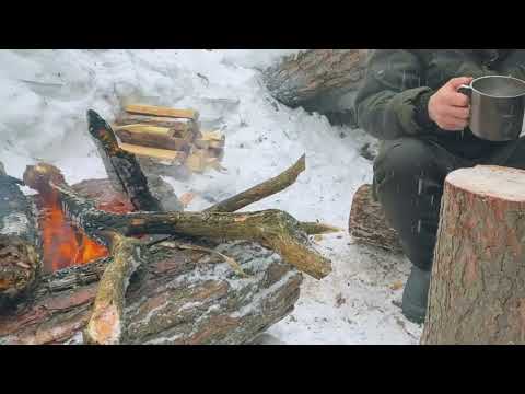 Ever Surviving a SNOWTORM in a Tree Stump Shelter Extreme