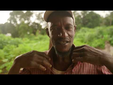 Guinea Conakry The Challenge of Palm Oil Transport