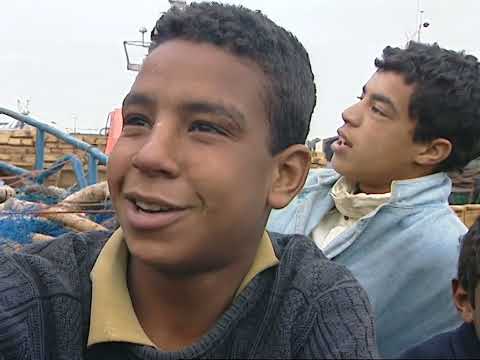 Maroc les petits rois de la débrouille