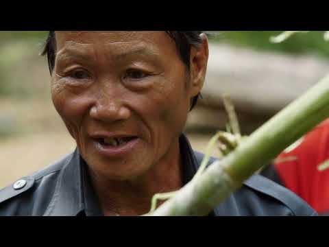 Borneo The Mud Convoy Deadliest Roads