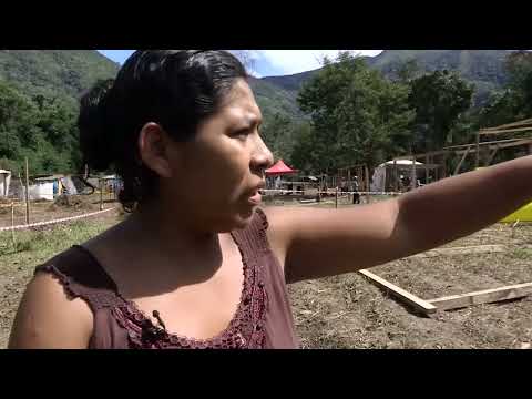 Les sans terres de l Amazonie