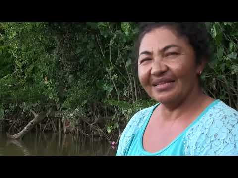 Expédition à haut risque pour ces chercheurs d or