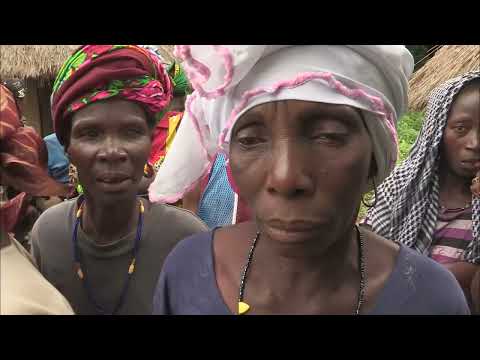 Des soignants risquent leur vie en Guinée Conakry