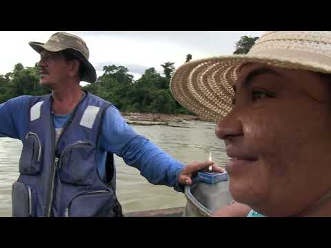 Gold Hunters of Suriname Life on the Edge of the River