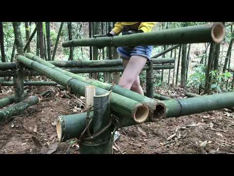 Full video 4days Girl who survived alone in the forest
