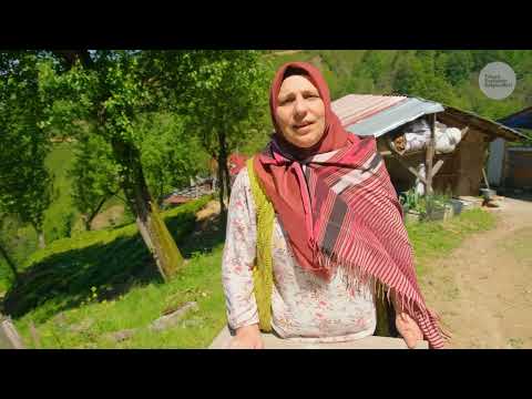 Doğanın Kıyısındaki Yaşam Çepni Ailesi Belgesel 4K