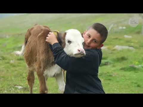 Yaylacı Uşak Ahmet Belgesel 4K