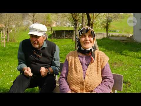 Rüzgarlı Vadide Bir Gün Belgesel 4K