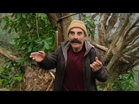 Dağdaki Yalnız Çoban Akalu Hüseyin Belgesel Film