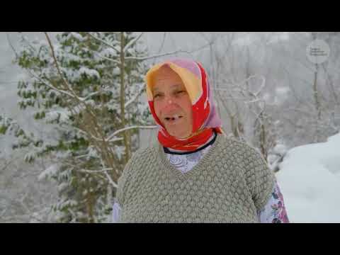 Yeşilin İçindeki Hayat Bölüm 2 Kış Belgesel 4K