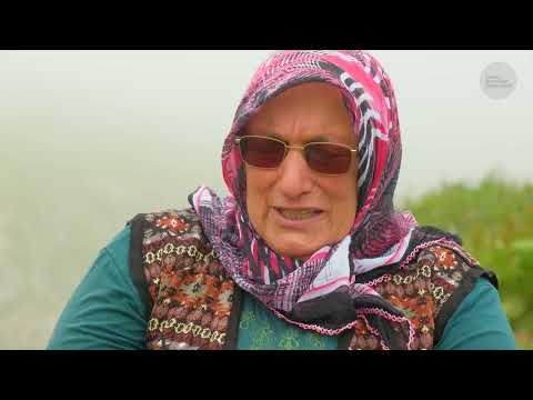İki Göçlü Marbudam Yaylası İnek Çobanlığı Belgesel 4K
