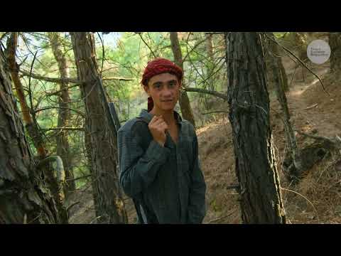 Dededen Toruna Miras Yörük Çobanlığı Belgesel