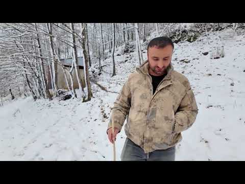 Köydeki Yaşlı Çiftin Çileli Hayatı Belgesel