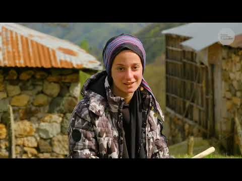 Şahin Ailesi ve Tüylü Köpekleri Belgesel 4K