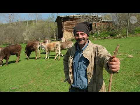 Baharda Köy Hayatı Belgesel Film