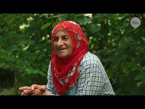 Köyde Fındık Ayı Belgesel 4K