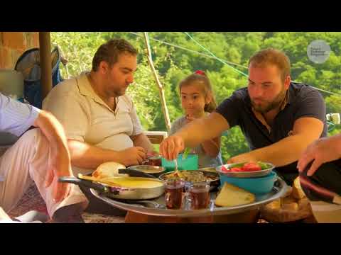 Yeşilin İçindeki Hayat Belgesel 4K