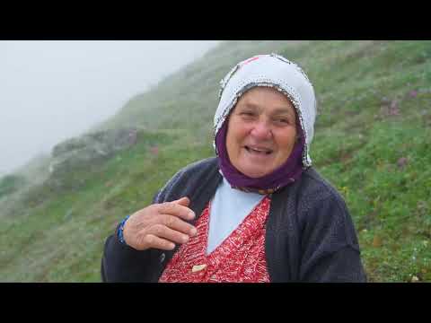 100 000 Kişilik Duygu Paylaşımı