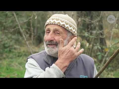 Çoban Ali Şükrü ve Koyunları Belgesel 4K